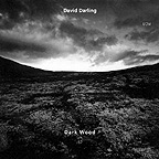 Dark Wood by David Darling